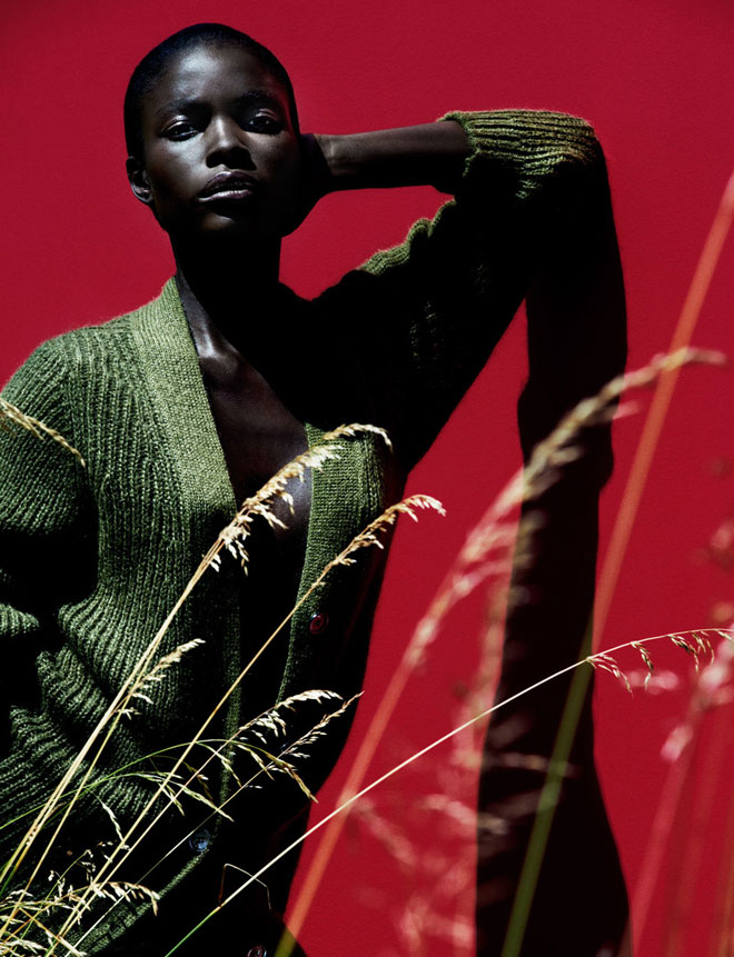 Ebony Beauty Jeneil Williams For Vogue Germany – Stapha Arabella